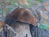 Fungo tra le foglie  Olio su pannello telato - 30 x 40